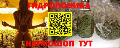 хмурый Донской