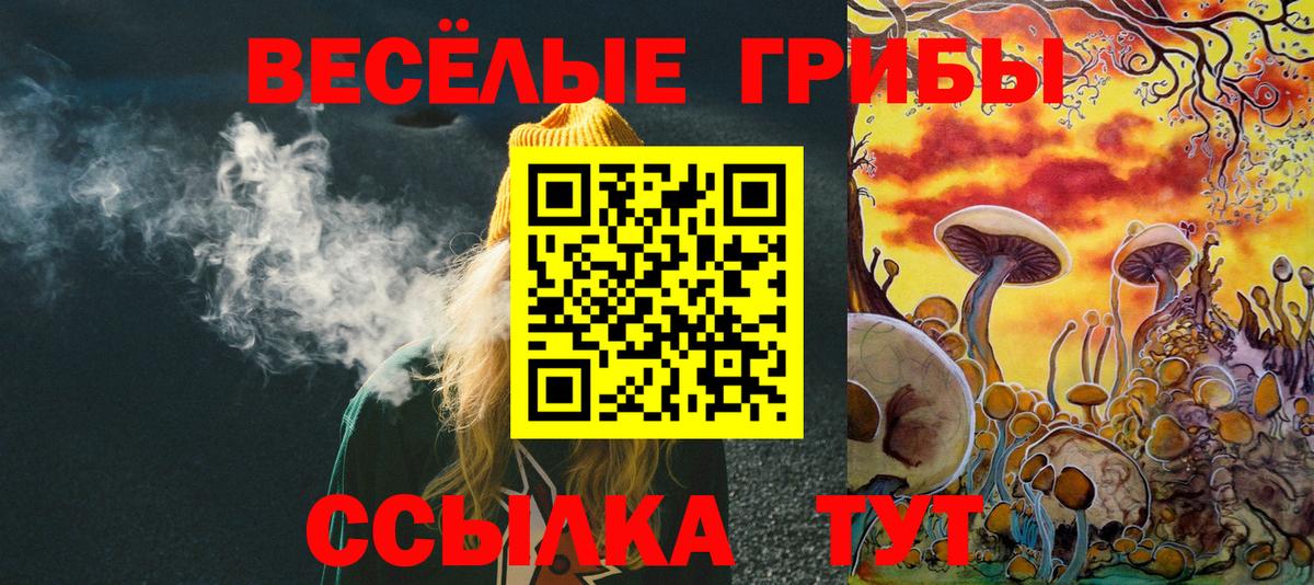 Галлюциногенные грибы Psilocybe  Вход с VPN  Мончегорск 