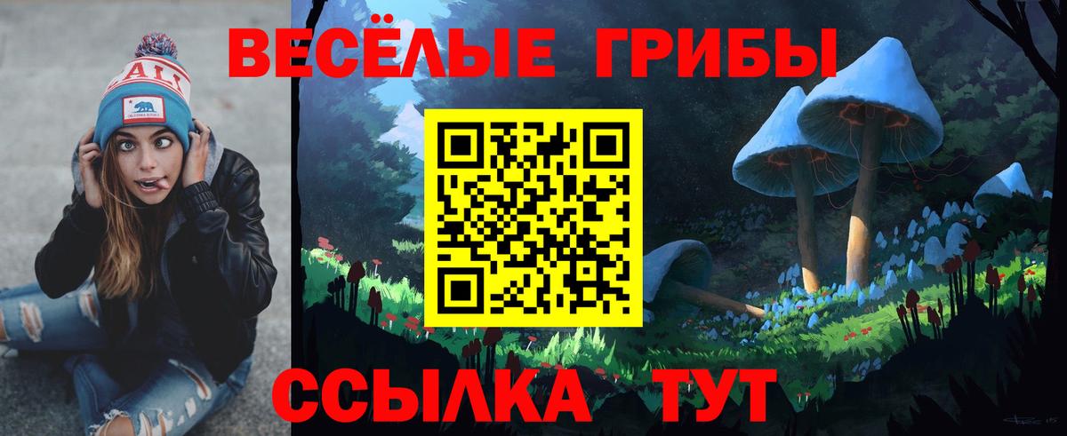 Галлюциногенные грибы прущие грибы Мончегорск